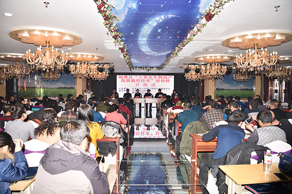 �����ء���Ҫũ����߲���Ч���༼������ѵ�࿪��ʽ